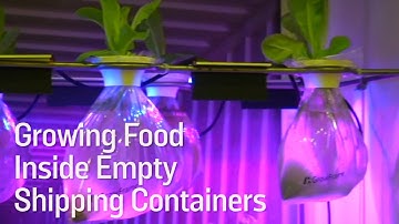 Growing Food Inside Empty Shipping Containers
