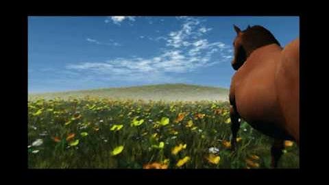 horse animation clip1_3.flv