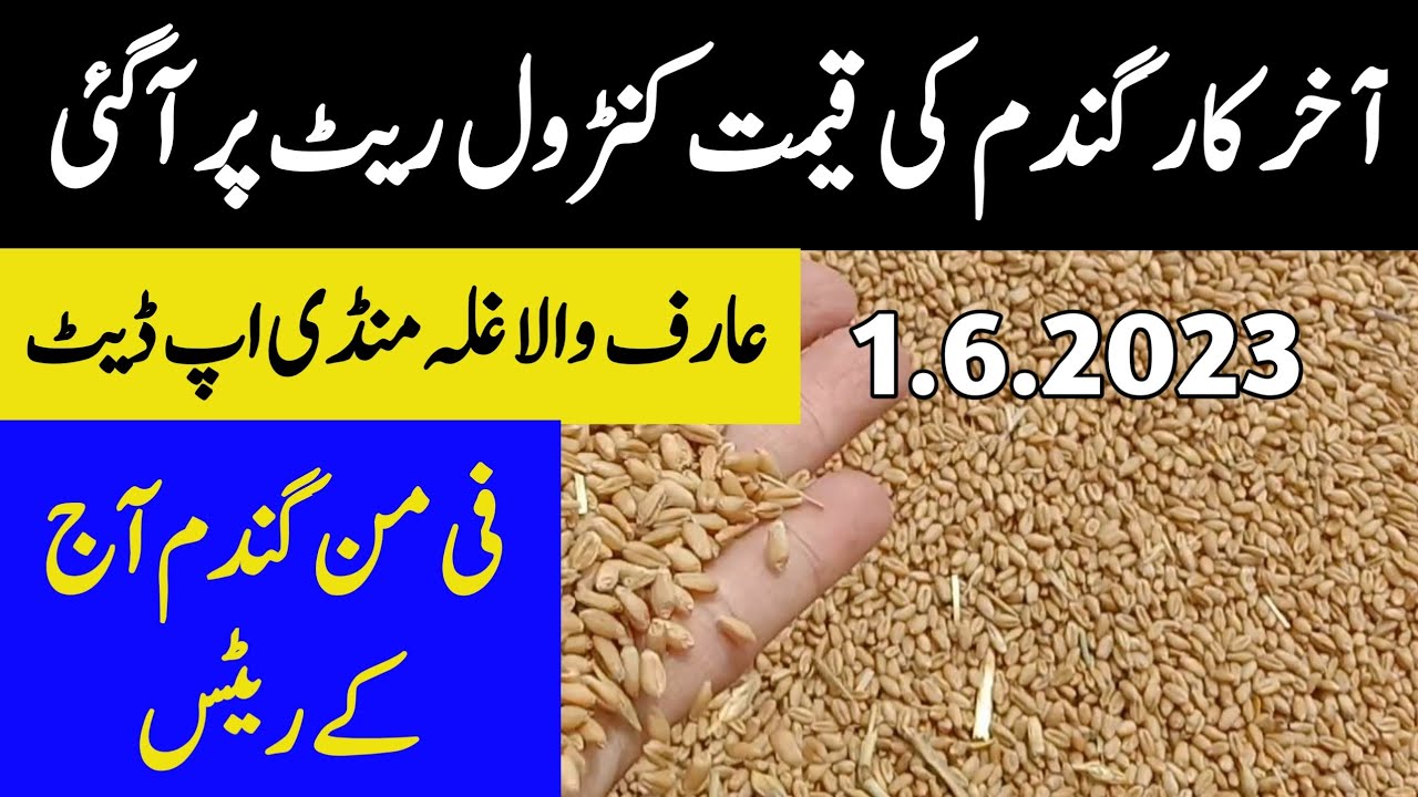 Gandam Rate Today Punjab 2023 YouTube gandam-rate-today-punjab-2023-youtube