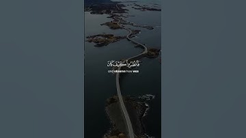 قرآن كريم بصوت القارئ محمد البارقي تلاوة مؤثر ارح قلبك 💚🌿حالة واتس إسلامية /استوري انستغرام