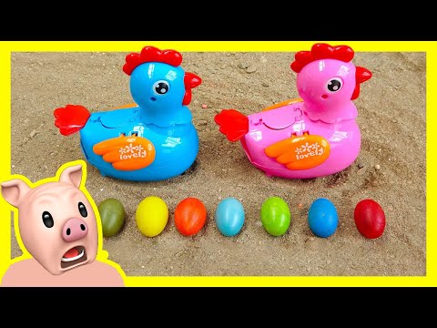 Video Bé học động vật - Người nhện cứu hộ gia đình con gà... - YouTube