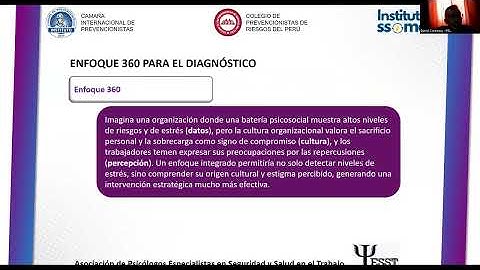 Hacia Un Diagnostico 360° En Riesgos Psicosociales