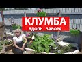 Что посадить под забором  Клумба своими руками