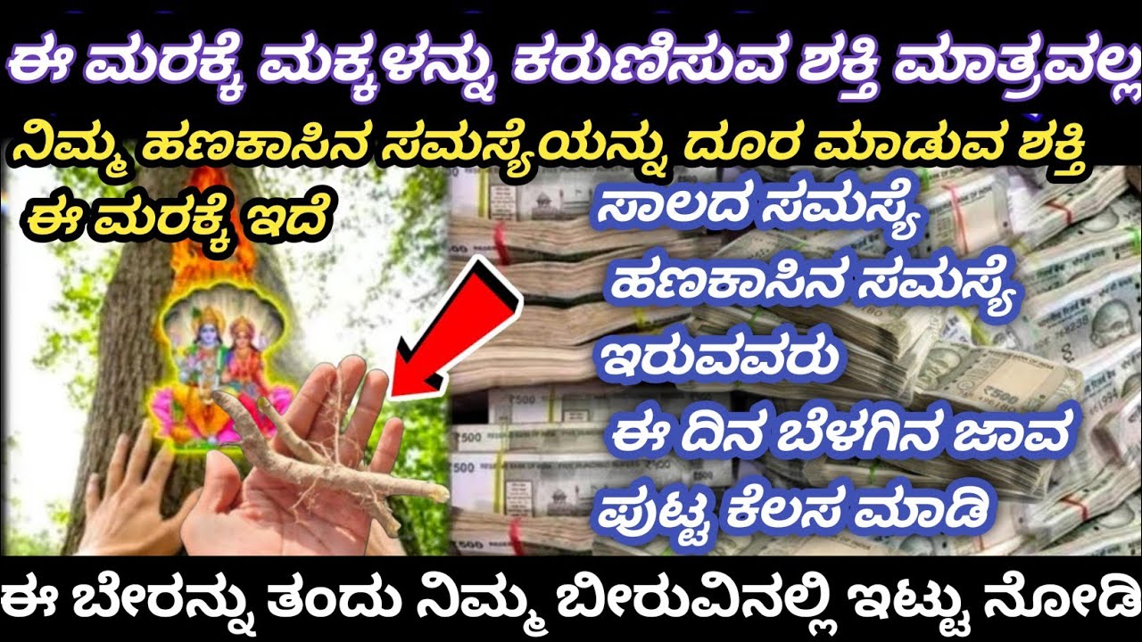 ಈ ಶುಭದಿನದಂದು| ಈ ಮರದ ಬೇರು ನಿಮ್ಮ ಮನೆಯ ಮುಖ್ಯದ್ವಾರ ಮತ್ತು ಬೀರುವಿನಲ್ಲಿ ಇಟ್ಟು ನೋಡಿ| ಹಣದ ಸಮಸ್ಯೆಯಿಂದ ಮುಕ್ತಿ 