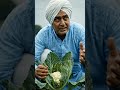 गोबी में बोरॉन क्यों डालना जरूरी है , how to apply boron #farmingindia #kisan #farming #agritips