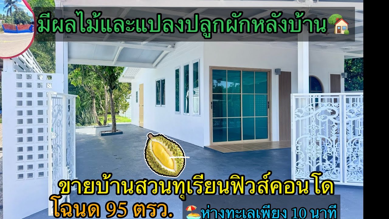 Ep.559ขายบ้านสวนผักผลไม้ไม่ไกลทะเล2นอน1น้ำ   🍀มีทุเรียนหมอนทองให้ผลแล้ว3ต้น0890986866