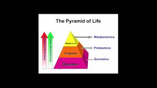 Introduction to Metabolomics
