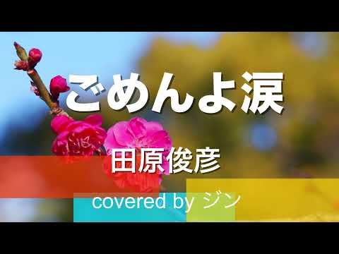 田原俊彦『ごめんよ涙』【covered by ジン】（歌ってみた・フル歌詞付き）
