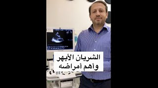 الشريان الأبهر وأهم أمراضه | دكتور عمرو رشيد