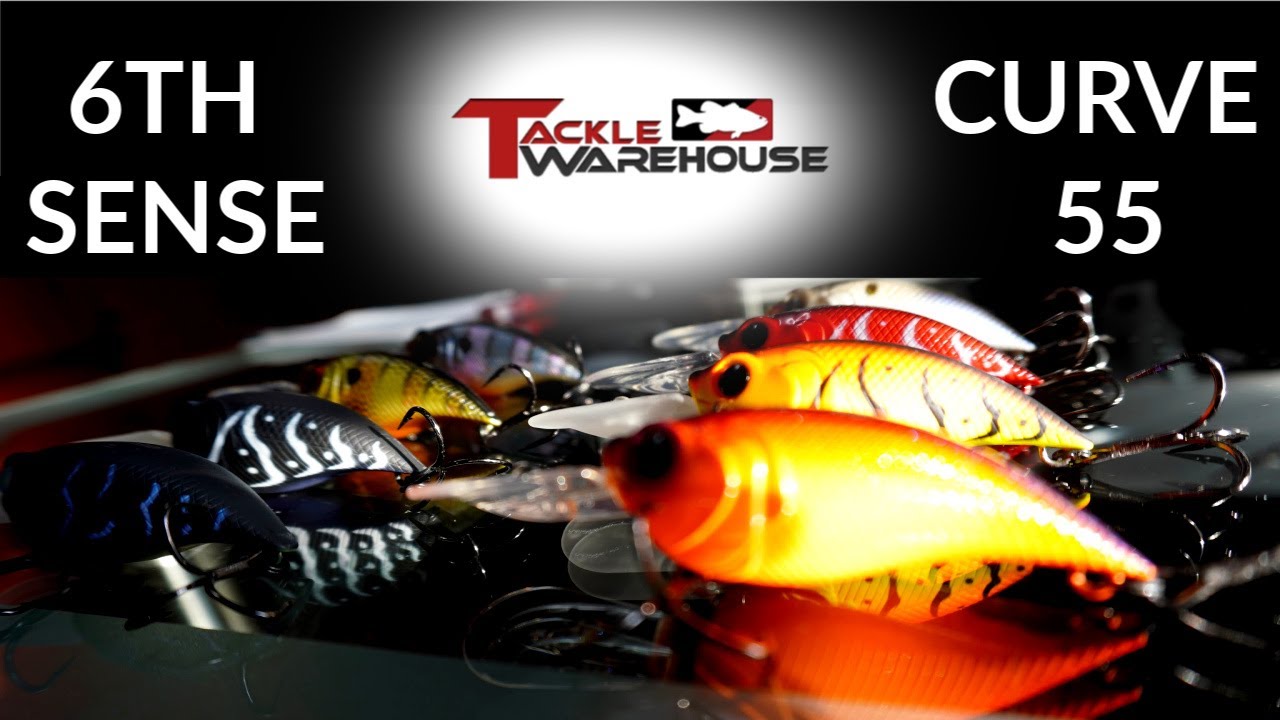 Tackle Warehouse Unboxing - 6th Sense Curve 55 Crankbait! (The Daily  Special) 