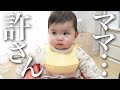 【生後8ヶ月】娘の自己主張が強くて困ってます。赤ちゃんとの1日ルーティン♪