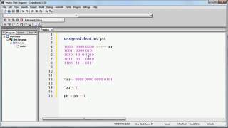 Famous C++ Pointers video tutorials part 3 Wealth