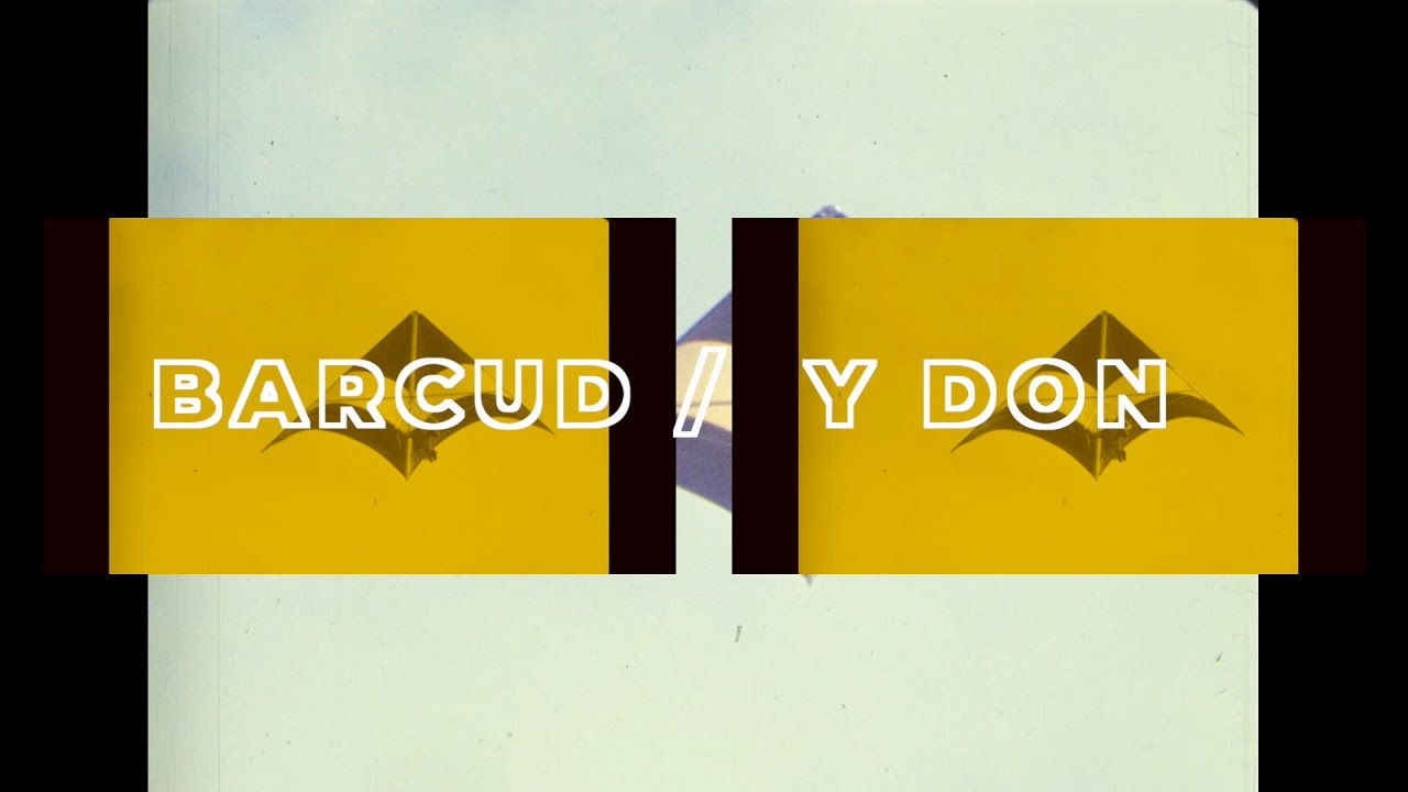 Barcud / Y Don gan Hana Lily & Hywel Pitts YouTube