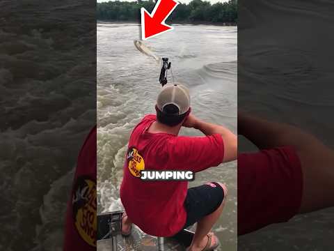 This Shouldn T Be Possible Probassjp