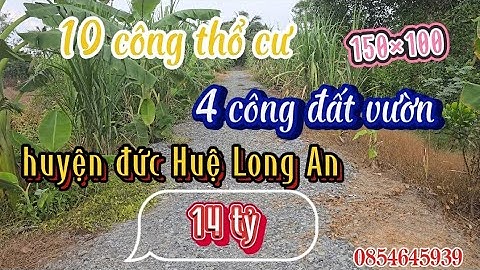 1 mẫu thổ cư + 4 công đất vườn 150×100 huyện đức Huệ Long An giá 14 tỷ lh 0854645939