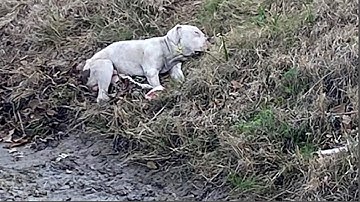 He Was Waiting for Someone to Notice Him