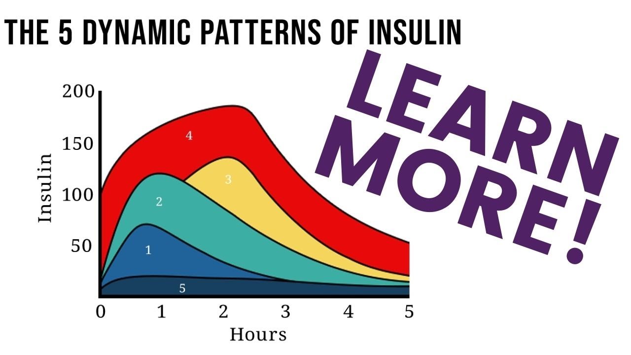 Stages of Insulin Resistance Explained The Kraft Test YouTube