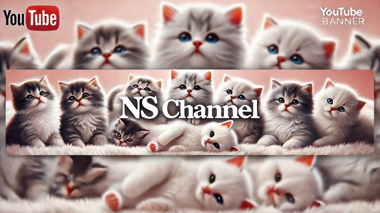 Live Stream NS channel - YouTube