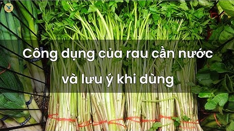Công dụng đầy bất ngờ của rau cần nước
