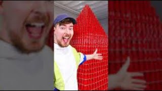 World's largest cup tower