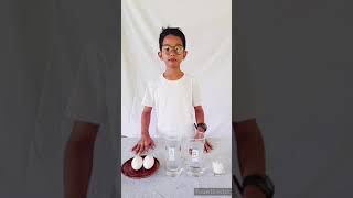 Floating Egg Experiment 🥚 #scienceexperiment #grade7