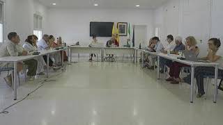 Pleno 2026