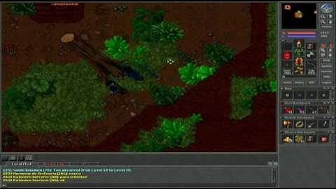 Tibia Bot Kill in Non PvP #46 "188 ek"