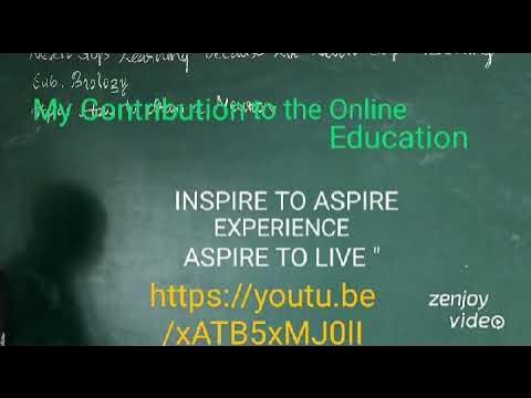 591 My Exptl Lrng: Quick Revision : Blackboard Sunmmary Glimpses