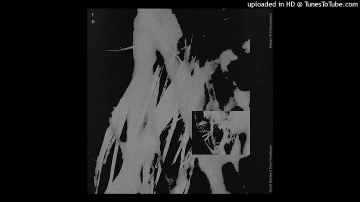 David Morley & Davy Vandegaer - The Why Of The Thing