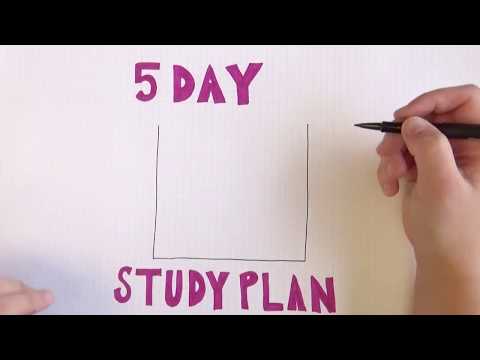 वीडियो: 5 दिवसीय अध्ययन योजना क्या है?