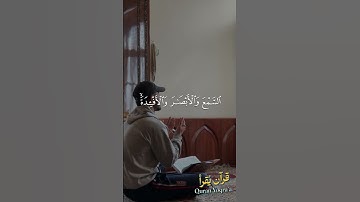 لعلكم تشكرون #سورة_النحل #القرآن_الكريم #فارس_عباد #اكسبلور #راحة_نفسية #لايك #تلاوات #تلاوة_خاشعة