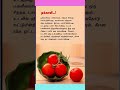 தீனம் ஒரு டிப்ஸ்/DAILY TIPS#kitchen#samayaltips #shorts#shortsfeed#food #viral#tamil#trending#reels