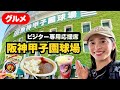 【初めての阪神甲子園球場🔰】おすすめグルメ|ホークス戦|ビジター専用応援席|外野席|すさのお神社|セパ交流戦🐯🦅