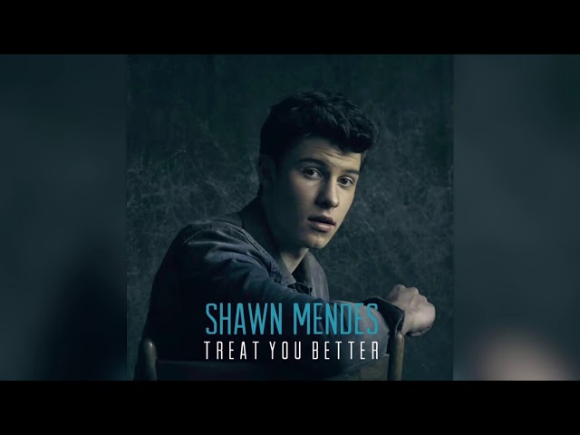 Shawn Mendes - Treat You Better (Official Instrumental)