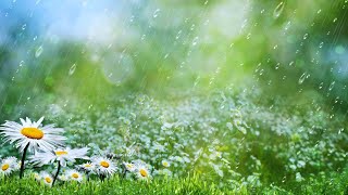 Relaxing music with soft rain sound - Sleeping music, calm piano screenshot 4