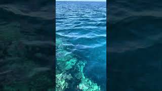 与論の海IMG 1014