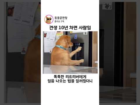 견생 10년차면 사람임 thumbnail