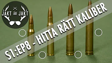 Vilken ammunition 30 06?