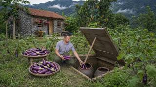 How to Store 100kg of Eggplants Underground – Young Businessman Surprises Everyone !