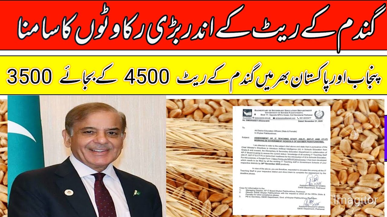 Wheat support price announcement cm Punjab/gundam price today in punjab 2025-26/local farmers