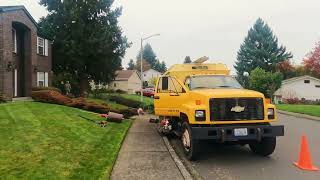 3job three  75  foot colander maple  over house storm damaged  maples  negative rigging fir tree