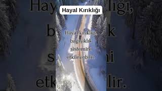 Hayal Kırıklıklarını Nasıl Aşarız? Resimi