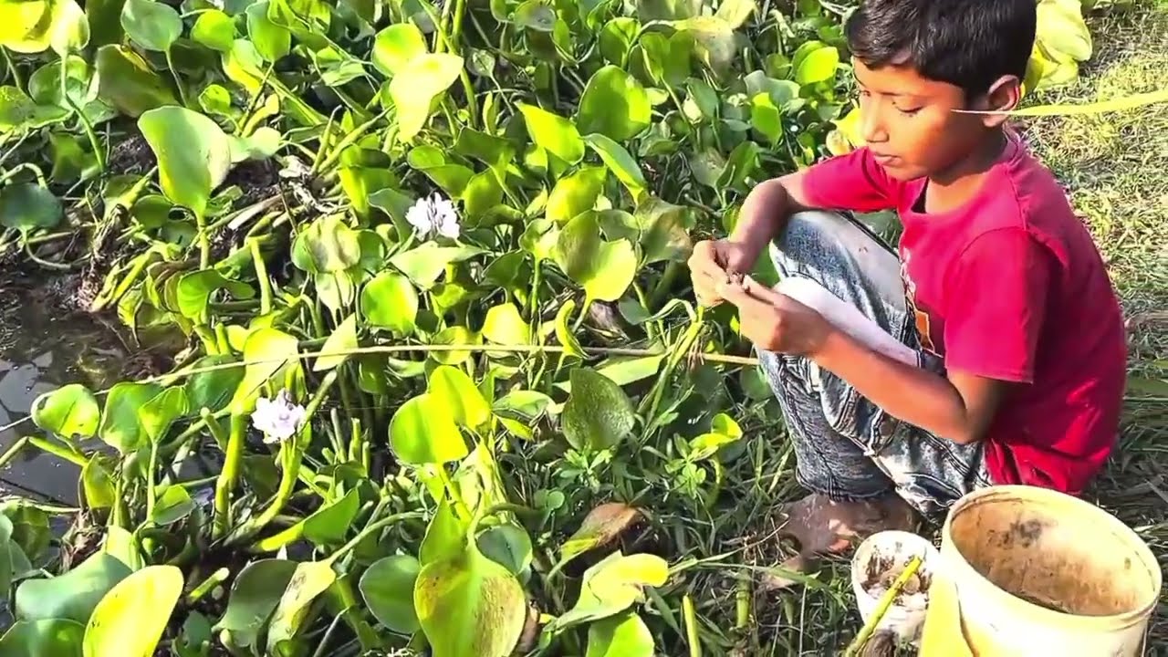 Fast Hook Fishing Technique for Beginners