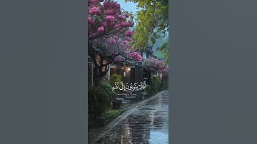 القارئ : عبد الرحمن مسعد ﴿ أَفَلَا يَتُوبُونَ إِلَى اللَّهِ وَيَسْتَغْفِرُونَهُ ۚ﴾[ المائدة: 74]