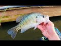 Have you tried this crappie fishing technique crappie fishing with a jig