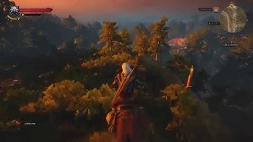 Witcher 3 1440p GTX 980ti