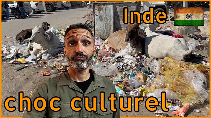 EP12 India culture shock guaranteed