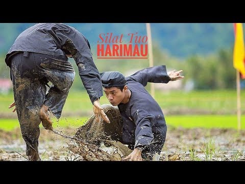 Silat Harimau Silek Tuo Khas Minangkabau 3 Martial Arts Youtube