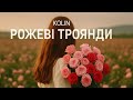 Kolin рожеві троянди Kolin рожеві троянди