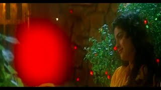 Ae Mere Humsafar Ek Zara Intezaar |Udit Narayan, Alka Yagnik |Qayamat se Qayamat Tak